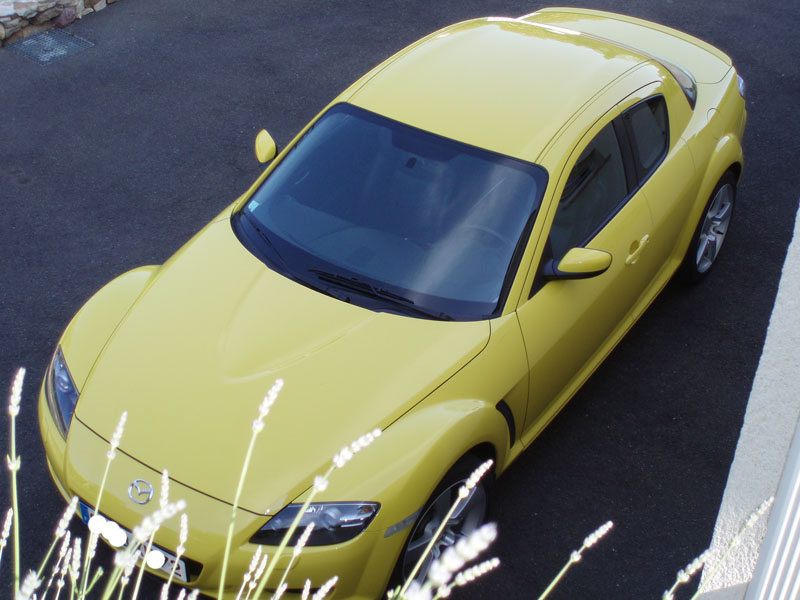 r8 5.JPG