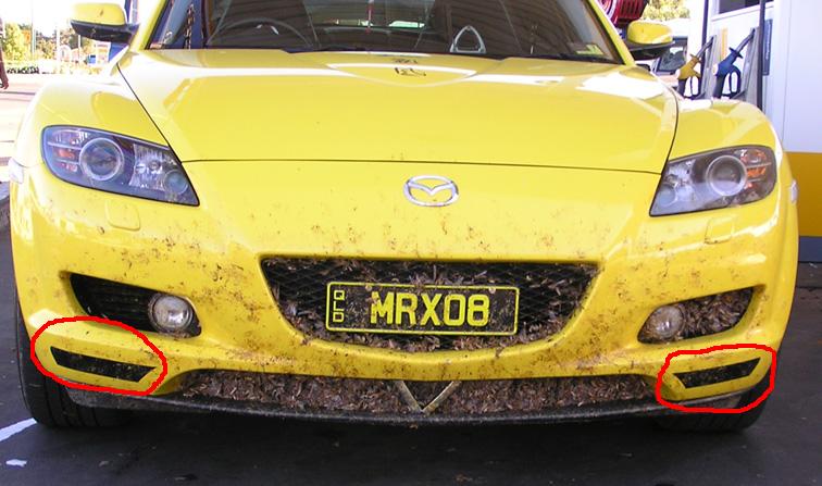 locust_car.jpg