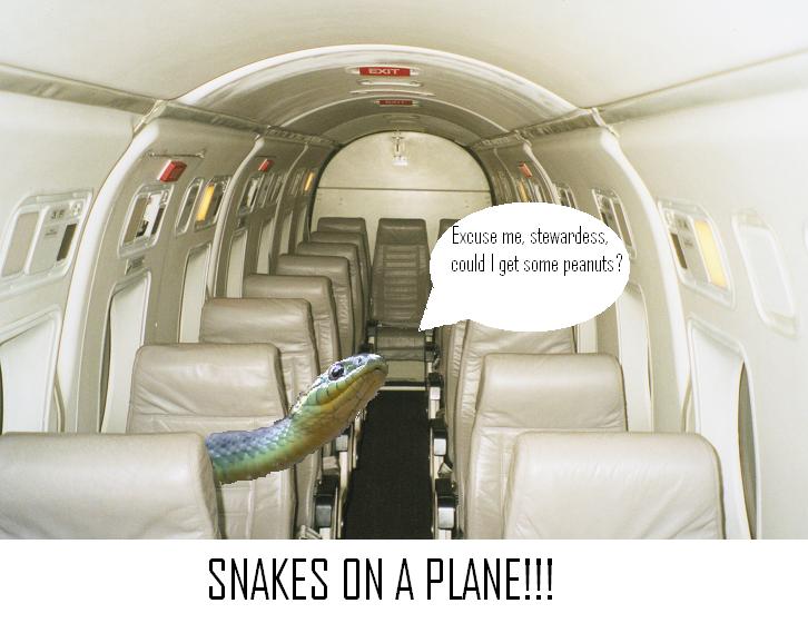 SNAKESONAPLANE.jpg