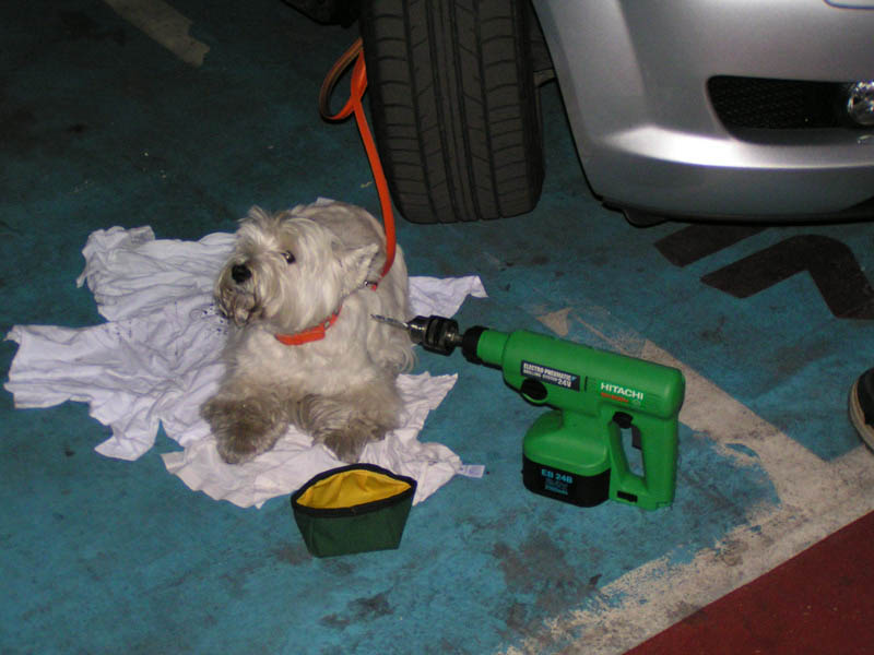 PICT0032.jpg