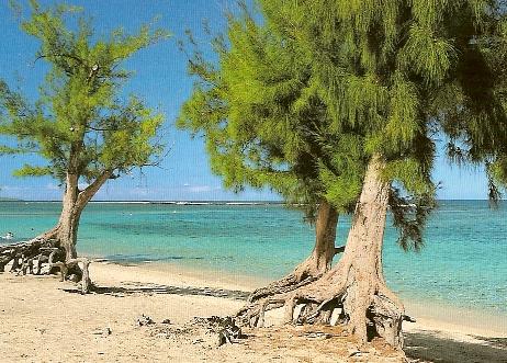 Plage de l'Hermitage.jpg