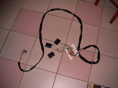 HARNESS.jpg