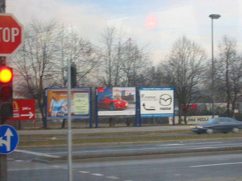 rotaryslo1.JPG