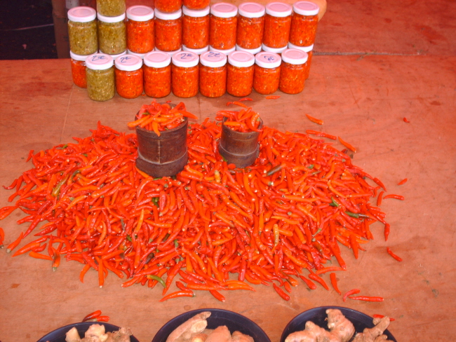 HPIM0215.JPG
