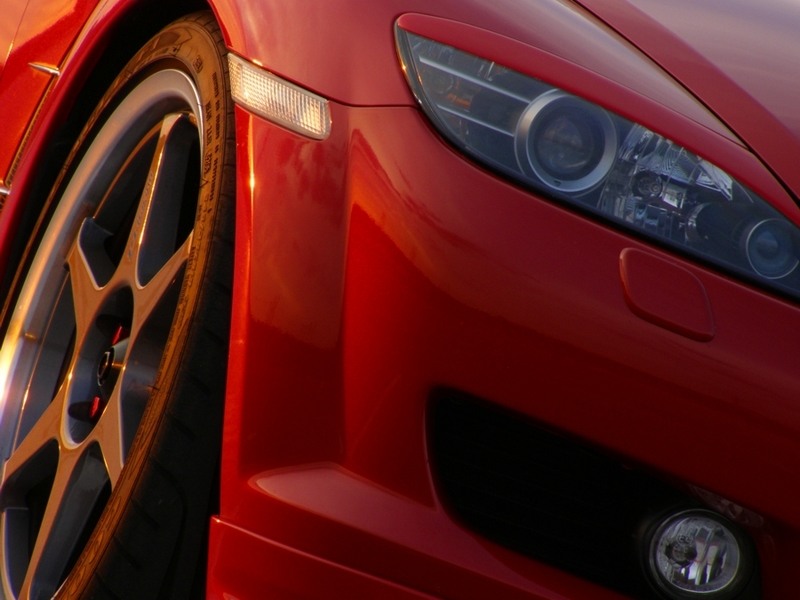 closeup4.jpg
