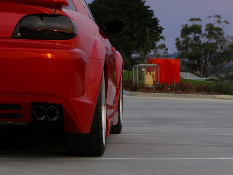 closeup15.jpg