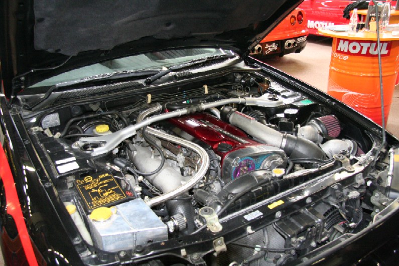 IMG_1755p.JPG