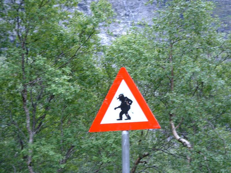 ATTENTION AU TROLL.jpg
