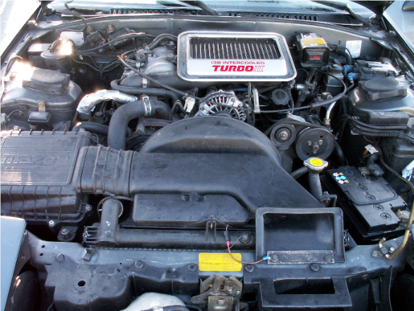 PICT0218.JPG