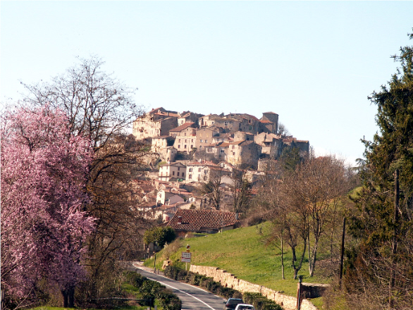 PICT0374.JPG