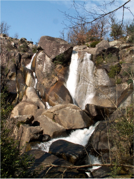 saut de la truite