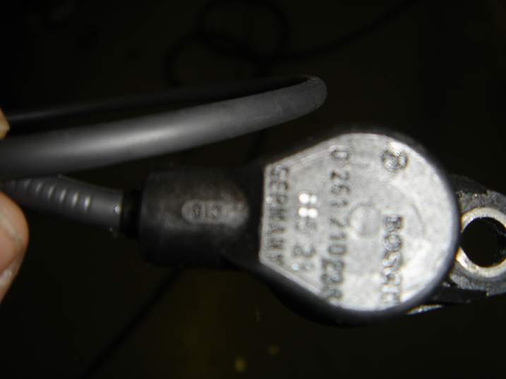 Dsc01689li.jpg