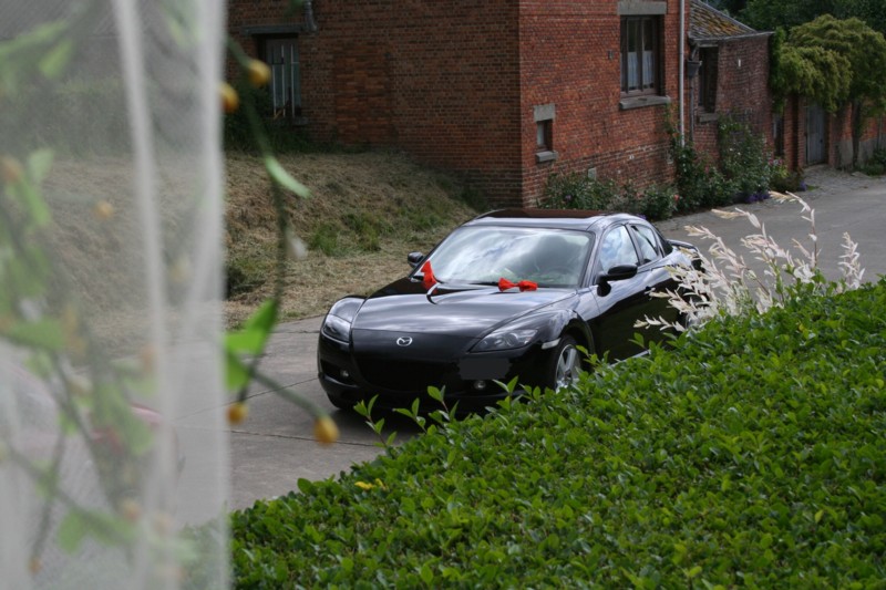 rx8 2.jpg
