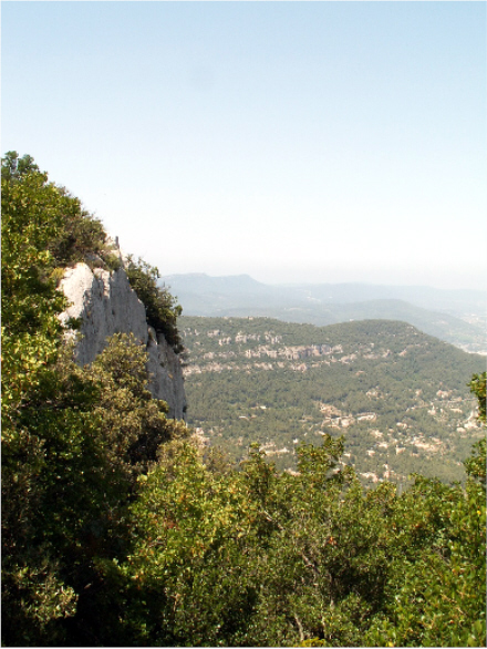 PICT0085.JPG