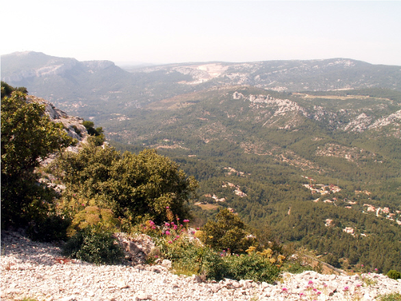 PICT0156.JPG