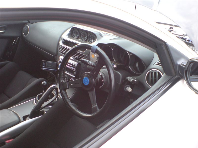 p5.jpg
