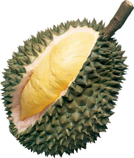 durian_king_of_fruit.jpg