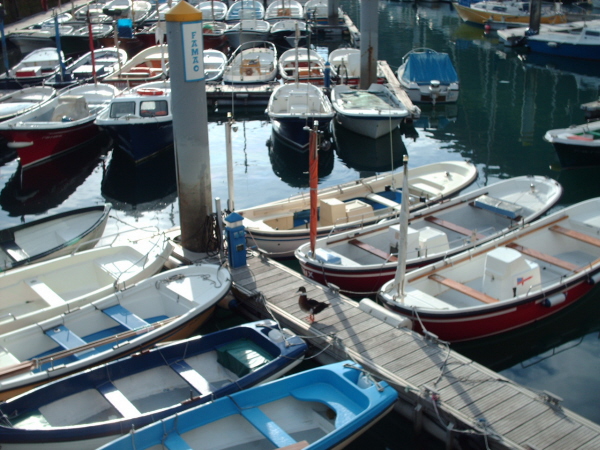 HPIM0410.JPG
