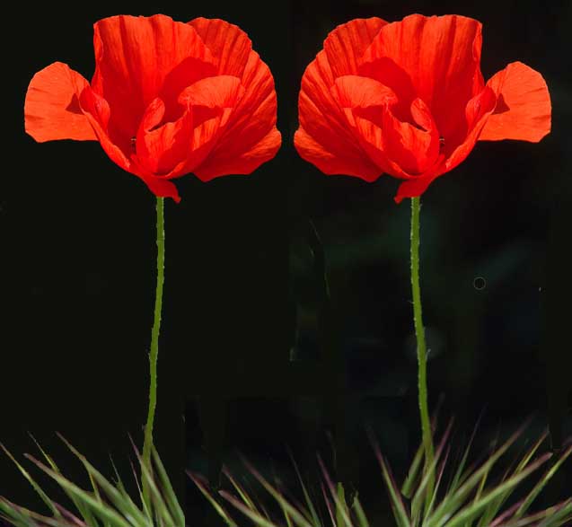 De quoi vous faire rougir ....