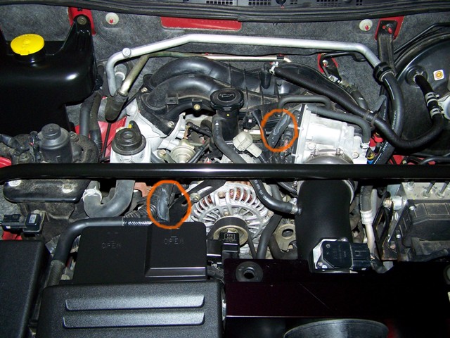 100_0155.JPG