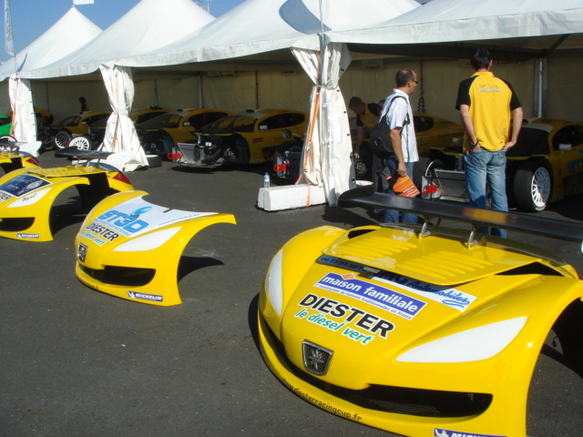 DSC00775.JPG