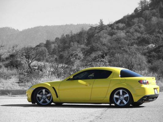 mini_jaune_normal_B%26W%20yellow.jpg