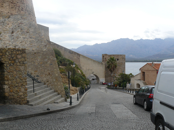 calvi