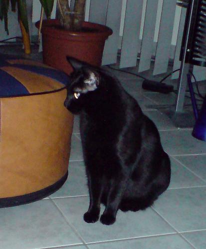 DSC00025bis.JPG