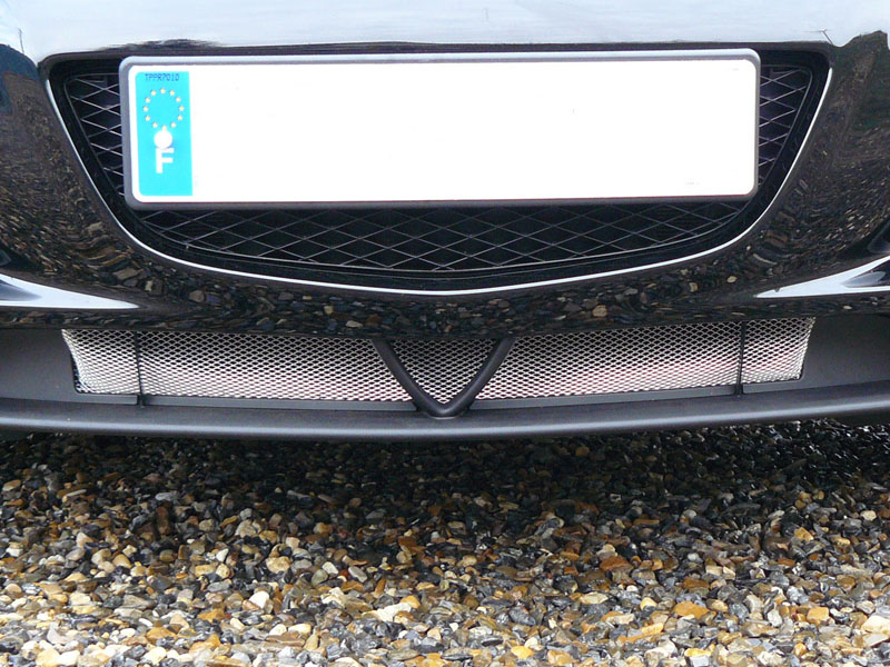 Detail grille01.JPG