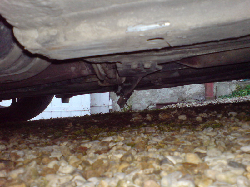 resizeDSC00754.jpg