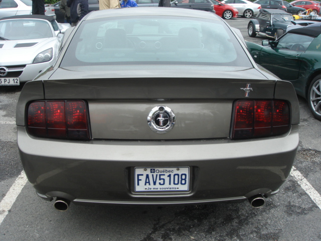 DSC01657.JPG