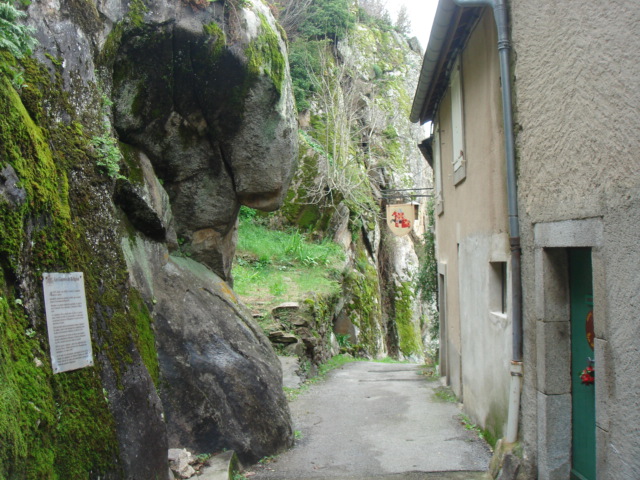 DSC01763.JPG