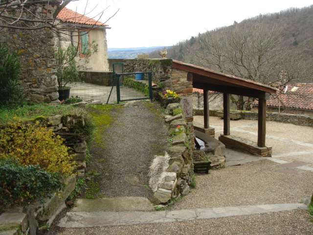 DSC01765.JPG
