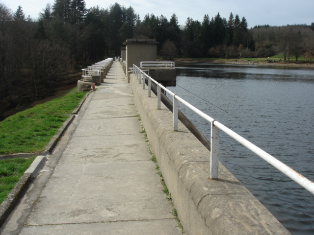 DSC01786.JPG