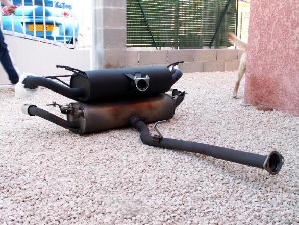 accouplement ...normalement c'est pas le mâle qui est dessus ... ???