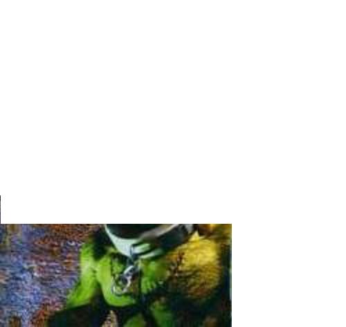 artwork.jpg