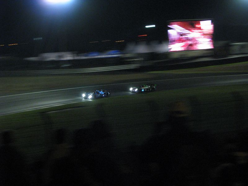 IMG_8715 [800x600].JPG