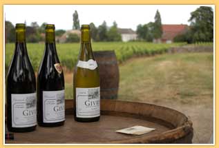 Vins de Bourgogne.jpg