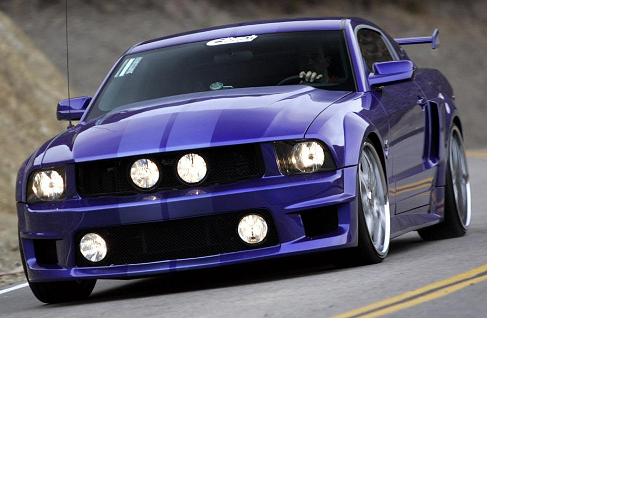 Mustang.jpg