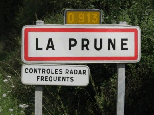 prune.JPG