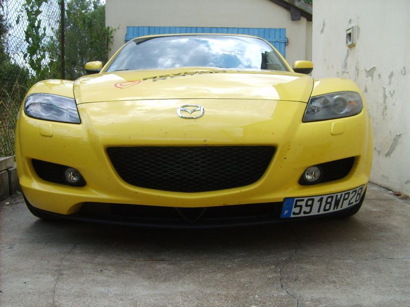 S5005715.jpg