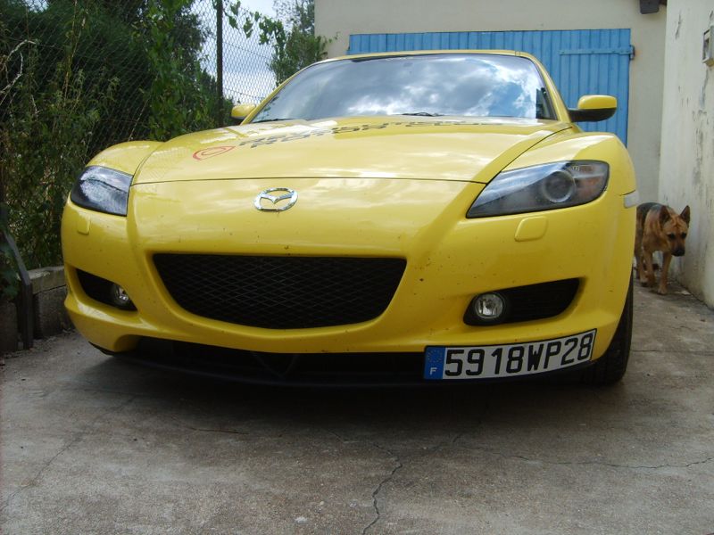 S5005714.jpg
