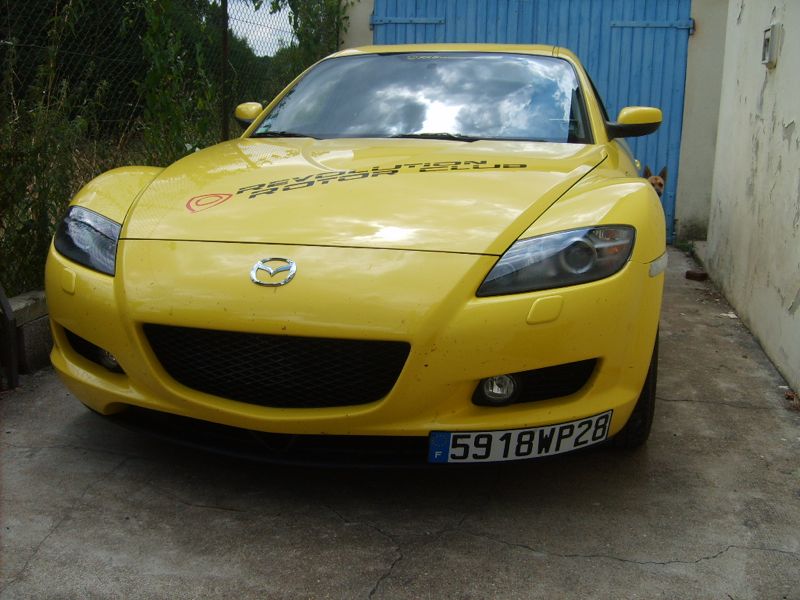 S5005713.jpg