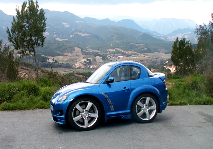 yaya micro car.jpg