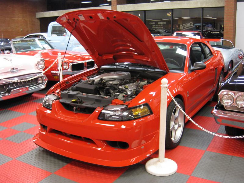 IMG_0004 [800x600].JPG