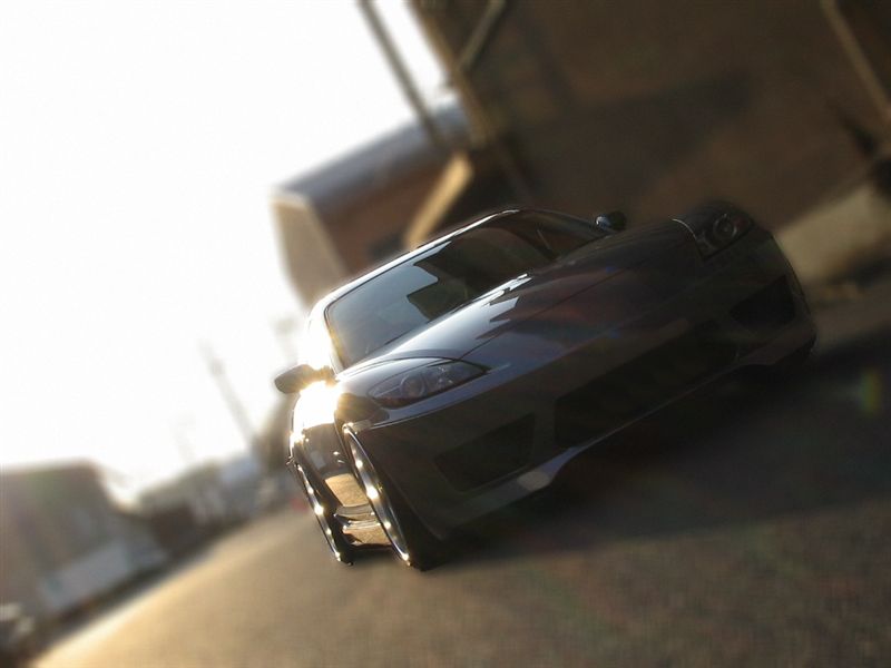 p8.jpg