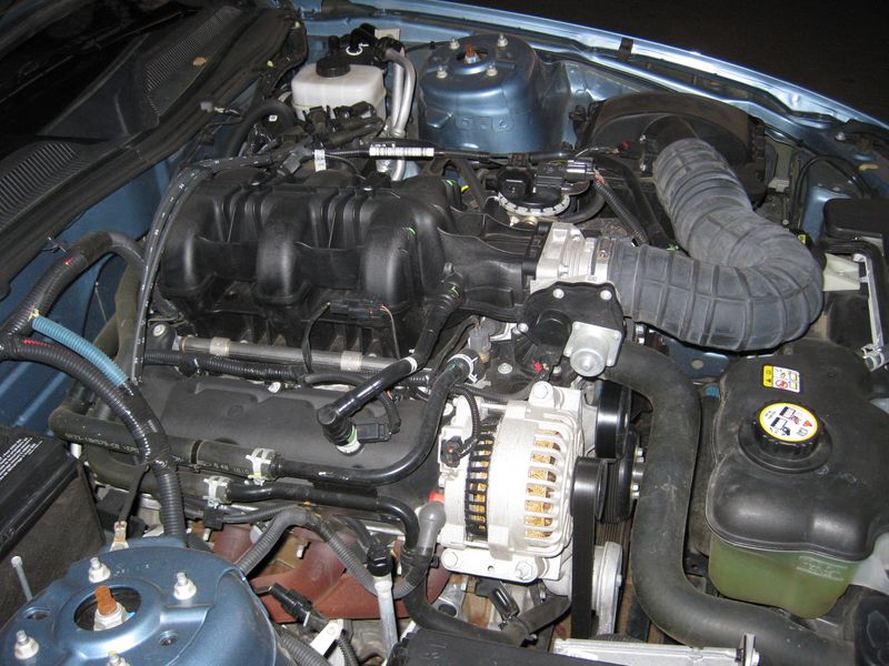 IMG_0232 [800x600].JPG