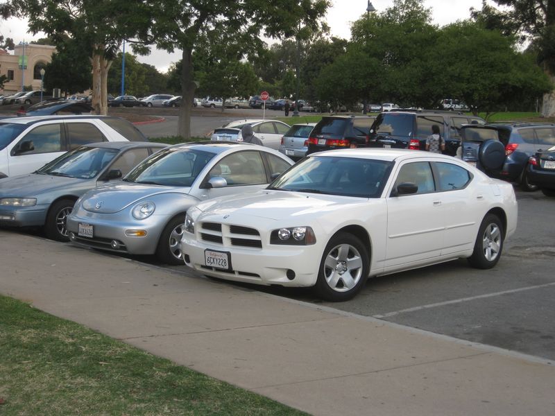 IMG_0387 [800x600].JPG