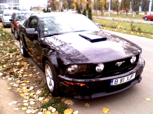 Une belle Mustang, toujours garée dans le campus