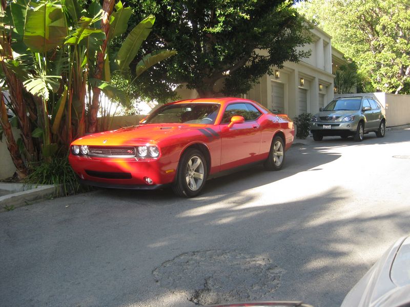 IMG_1112 [800x600].JPG